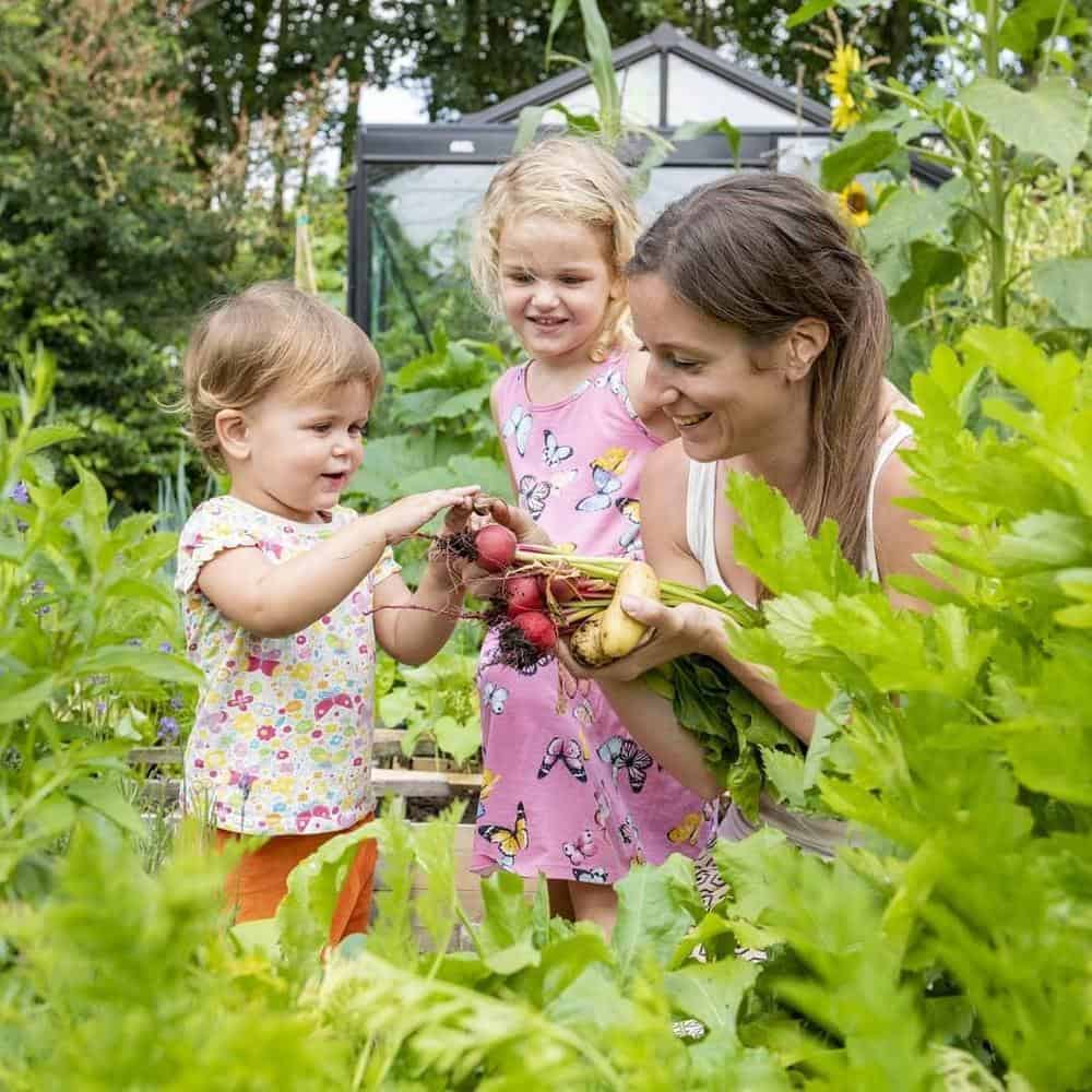 Hãy dạy cho trẻ cách trồng trọt và làm vườn