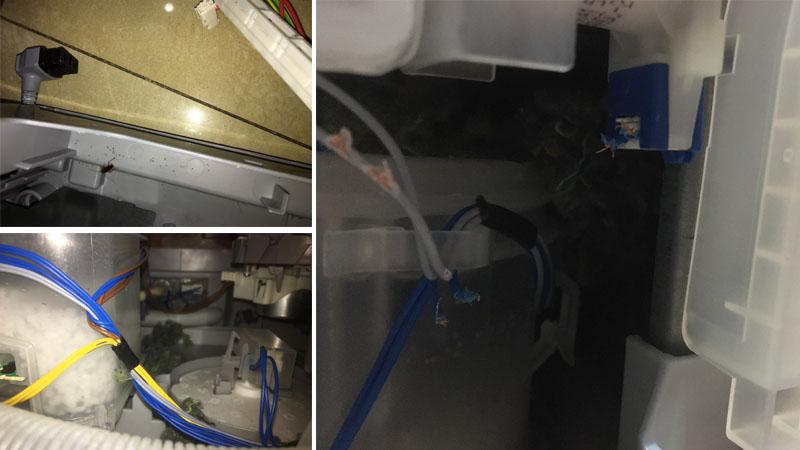 Cảnh báo tình trạng máy rửa bát bị lỗi do chuột cắn