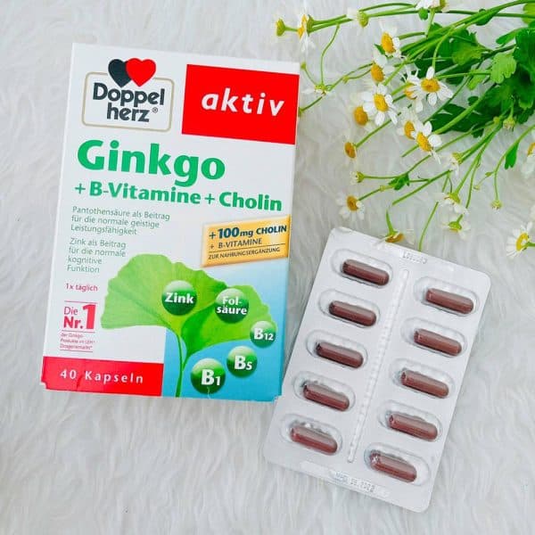 Thuốc Bổ Vitamin B + Cholin Ginkgo