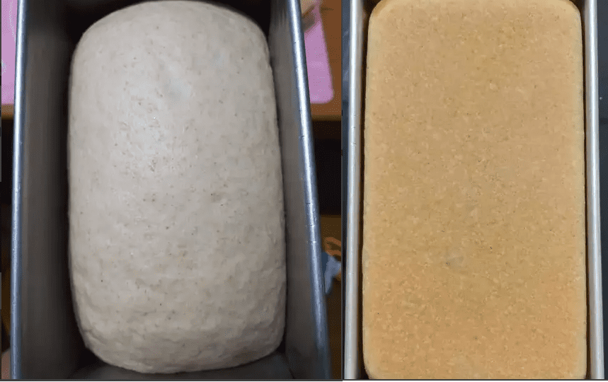 Cách làm bánh mì nguyên cám yến mạch