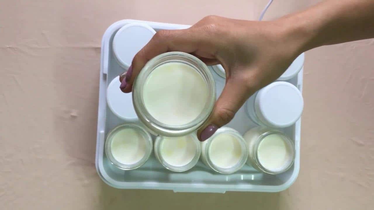 Cách làm sữa chua ngon bằng máy ủ sữa chua Steba