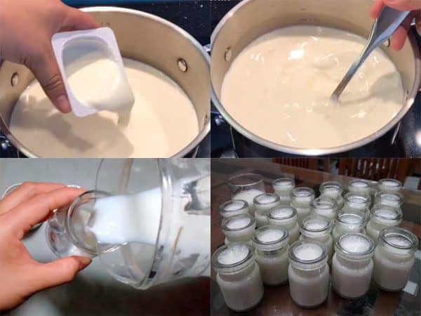 cách làm sữa chua