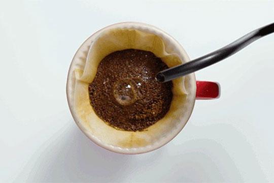 Các bước pha cà phê bằng phương pháp pour over