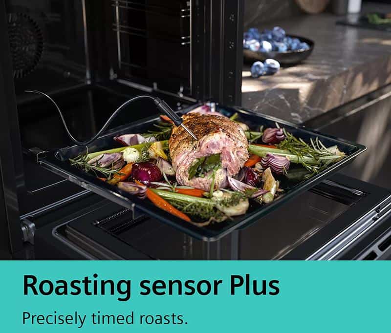roastingSensor Plus