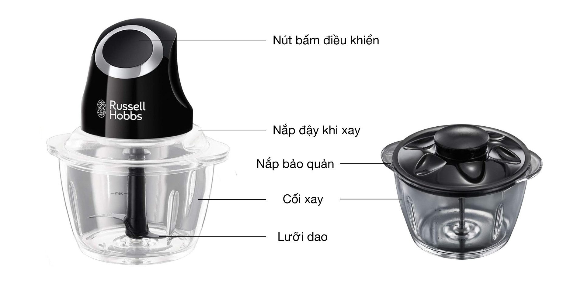 Máy xay mini Russell Hobbs Desire 