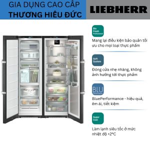 Tủ Lạnh Liebherr XRFbs 5295 Peak BioFresh NoFrost