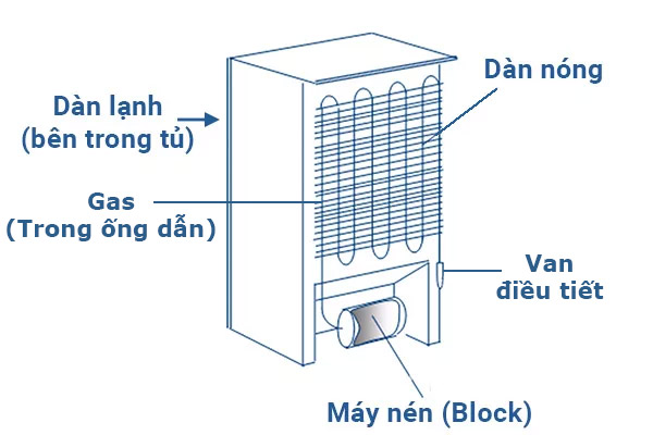 cấu tạo tủ lạnh