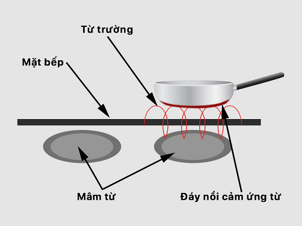 Tại sao bếp từ kén nồi?