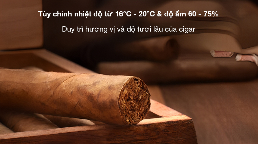 Tủ bảo quản cigar Caso 676 Humidor H45 200 điếu - Tùy chỉnh nhiệt độ từ 16 - 20 độ C