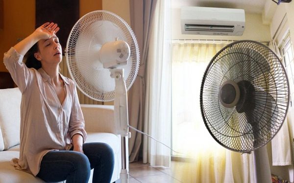 Điện năng tiêu thụ của quạt cây tỉ lệ thuận với thời gian sử dụng hàng ngày