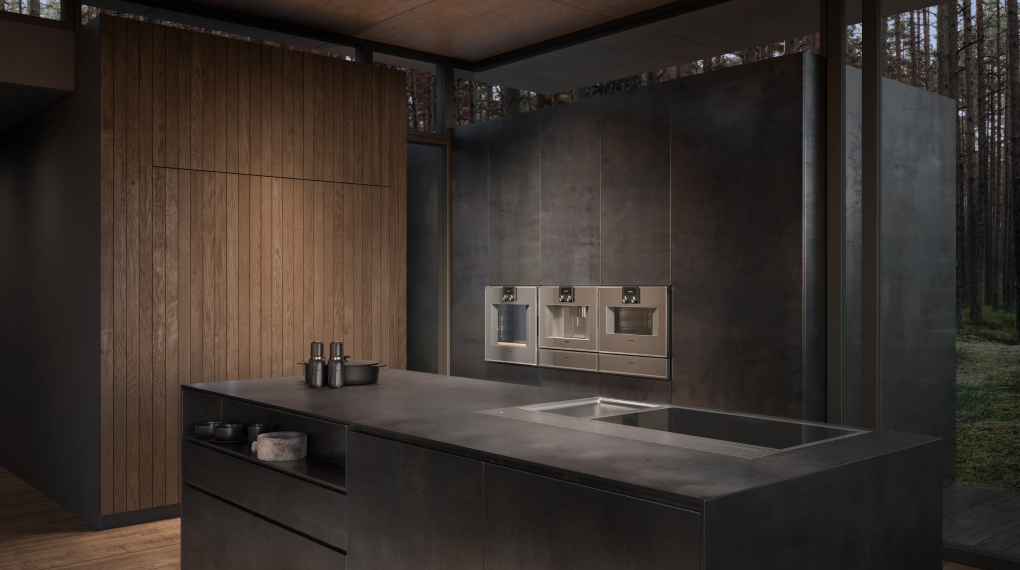 lo nuong kem hap gaggenau bs45 series 400 am tu 2