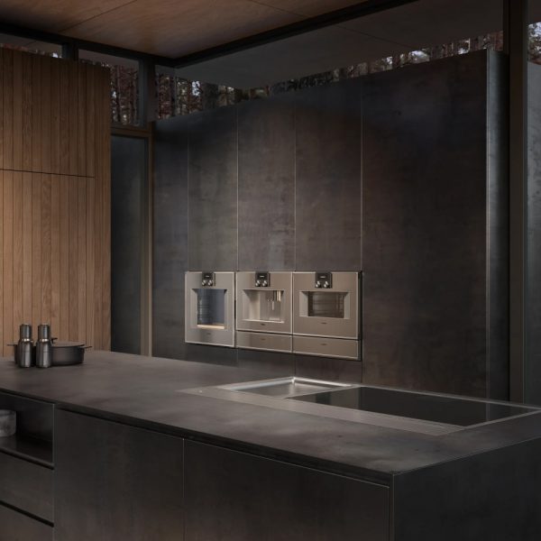 lo nuong kem hap gaggenau bs450111 400 series am tu 10