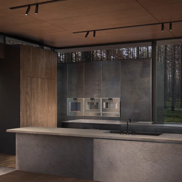 lo nuong kem hap gaggenau bs450111 400 series am tu 9