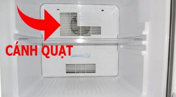 Cánh quạt bị khô dầu cũng là nguyên nhân khiến tủ lạnh kêu to