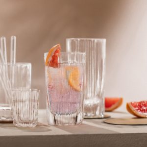 bo 4 coc thuy tinh schott zwiesel 124304 allroundglas fave 42 2