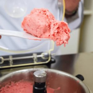 may lam kem mini nemox 003b420250 gelato chef 3l automatic i green 1 5 lit 7