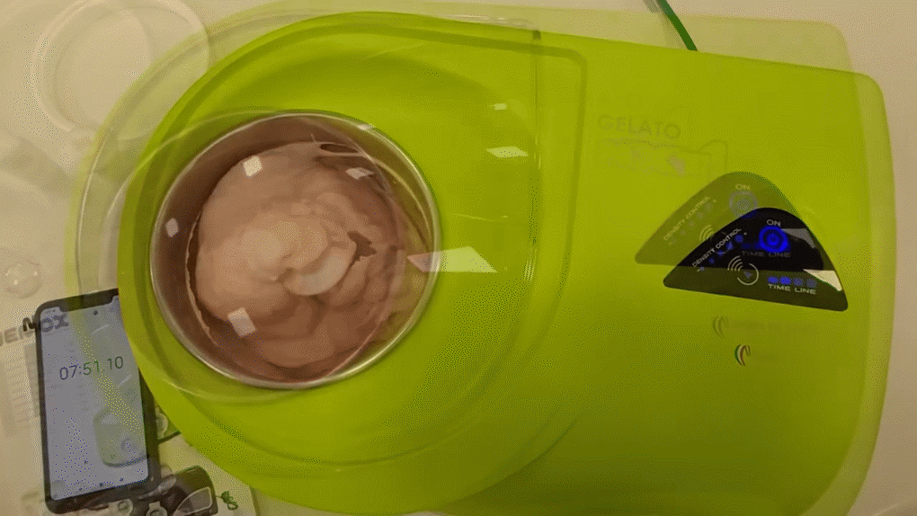 Máy làm kem mini Nemox Gelato NXT1 L’automatica i-Green 1,5 L - Công suất hoạt động Máy làm kem mini Nemox Gelato NXT1 L’automatica i-Green 1,5 L