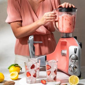 Phụ kiện cối xay sinh tố Ankarsrum 920900082 7 phu kien coi xay sinh to ankarsrum 920900082 5