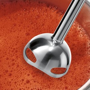 Máy xay cầm tay Bosch MS6CB6110 ErgoMixx 9 may xay cam tay da nang bosch msm4b624 series 4 8 1