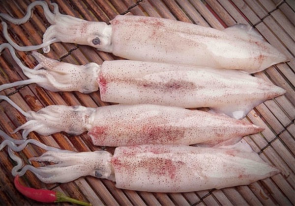 Bí Quyết Nướng Mực Bằng Lò Vi Sóng Thơm Ngon, Không Bị Dai 6 Chuẩn bị mực tươi, gia vị đơn giản giúp mực nướng lò vi sóng giữ vị ngọt tự nhiên, không dai