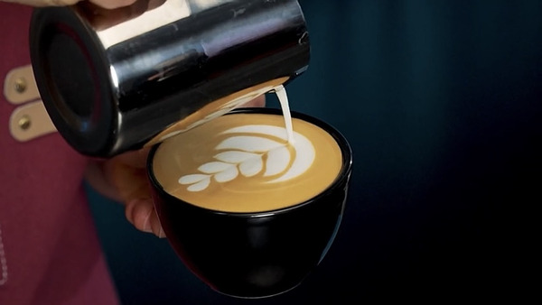 MilkMagic Pro là gì? Trải nghiệm pha sữa đỉnh cao 5 Minhaus – nơi cung cấp đa dạng máy pha cà phê tích hợp MilkMagic Pro uy tín