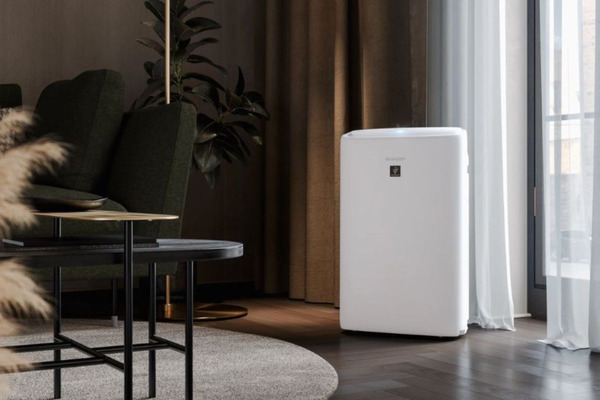 Máy hút ẩm kèm lọc không khí có đáng mua? 2 Độ ẩm cao không chỉ gây khó chịu mà còn tạo điều kiện cho vi khuẩn, nấm mốc phát triển, ảnh hưởng trực tiếp đến sức khỏe và đồ dùng trong nhà