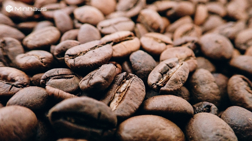 Máy pha cà phê cold brew: Những sai lầm khi pha và cách khắc phục 2 Arabica rang vừa hoặc blend Arabica - Robusta giúp cold brew có hương thơm nhẹ, vị êm, ít gắt và dễ uống