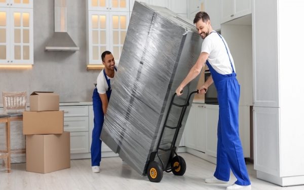 Kích thước tủ lạnh Bosch theo từng dòng: hướng dẫn đo bếp trước khi mua 4 Vận chuyển và tháo lắp cửa tủ lạnh Bosch an toàn qua lối đi hẹp