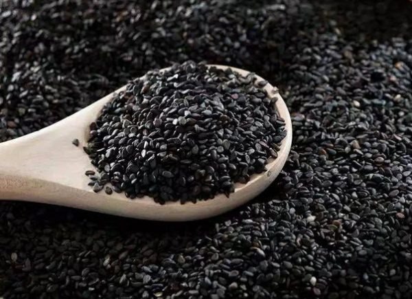 Bí quyết làm sữa hạt mè đen thơm ngon, sánh mịn tại nhà 1 Mè đen có rất nhiều công dụng với sức khỏe và làm đẹp
