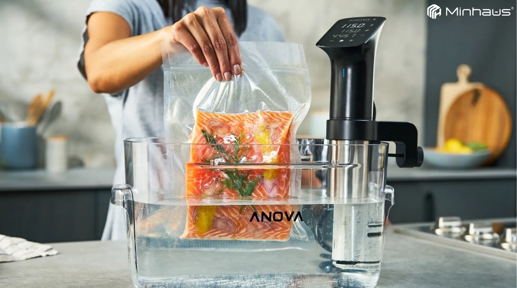 Top 5 dòng máy sous vide tốt nhất trên thị trường hiện nay (năm 2026) 10 Máy sous vide Anova Precision Cooker Pro (WiFi)