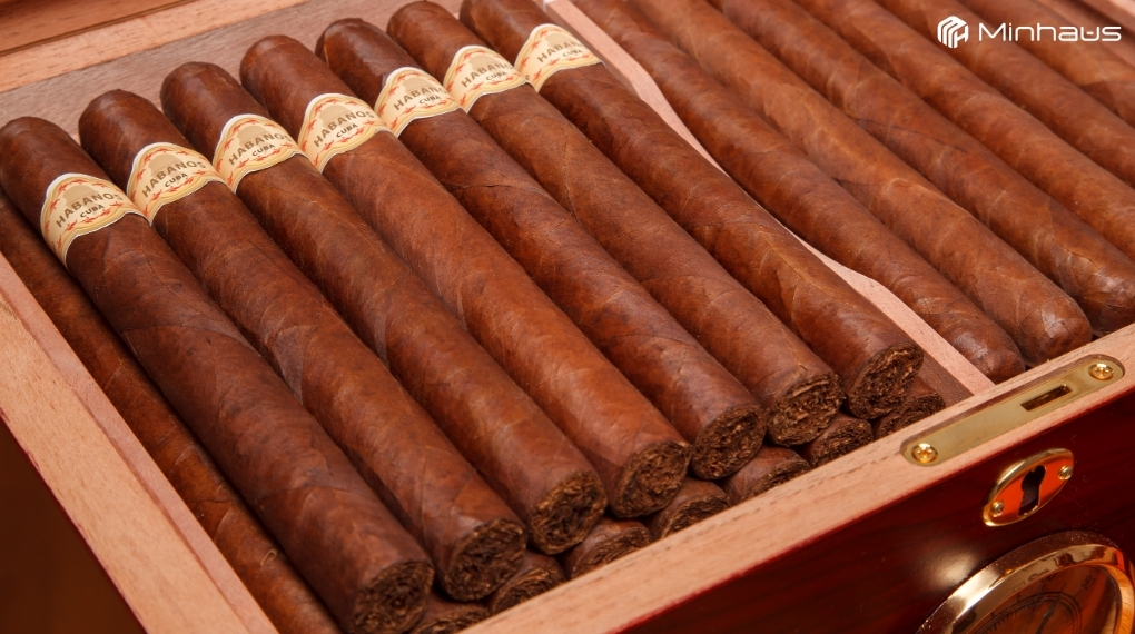 Ủ chín cigar (Cigar Aging) là gì? Nên dùng thiết bị nào để ủ cigar? 2 Nên ưu tiên ủ chín các dòng cigar đậm vị, nhiều tầng hương và cấu trúc chắc chắn