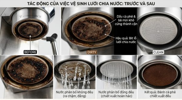 Máy pha cà phê bị nghẹt: 8 nguyên nhân, cách khắc phục từng bước | Minhaus 2 Lưới chia nước (shower screen) máy pha cà phê bị bít bẩn bởi dầu và bã cà phê
