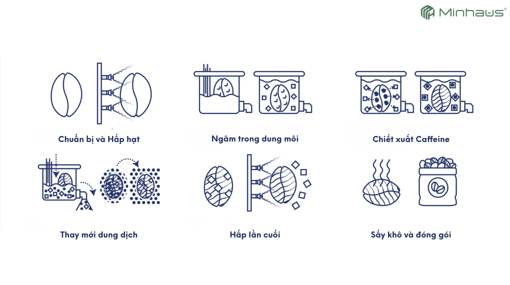 Cà phê Decaf là gì? Sự thật về loại cà phê ít caffeine đang được ưa chuộng 3 Phương pháp khử caffeine bằng dung môi hữu cơ
