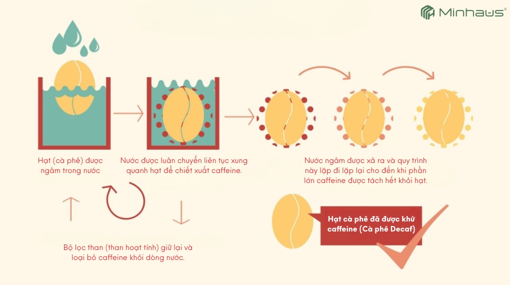 Cà phê Decaf là gì? Sự thật về loại cà phê ít caffeine đang được ưa chuộng 4 Phương pháp khử caffeine bằng công nghệ nước Thụy Sĩ